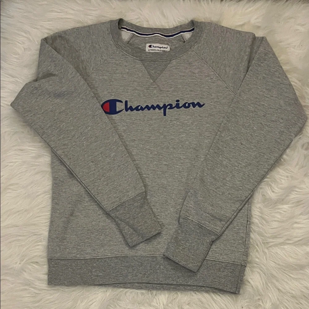Champion Gray Sweater - Picture 1 of 4